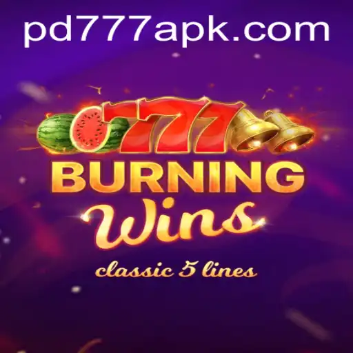 Explore the Thrills of BurningWins: A Classic Slot Experience